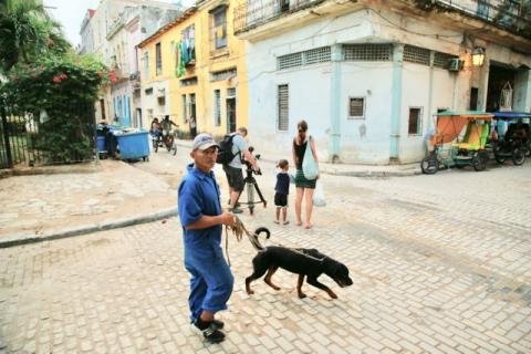 Perro guiado por un gassi